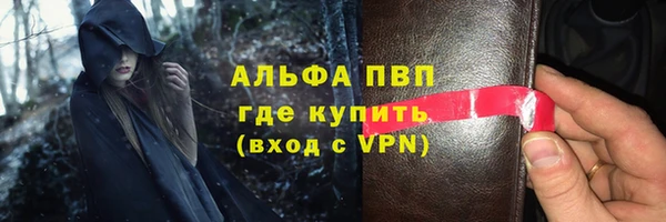 сатива Беломорск