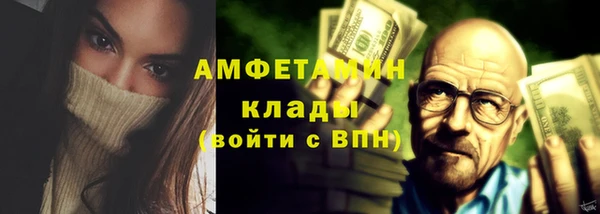 сатива Беломорск