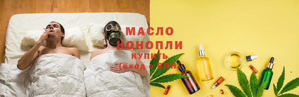 сатива Беломорск